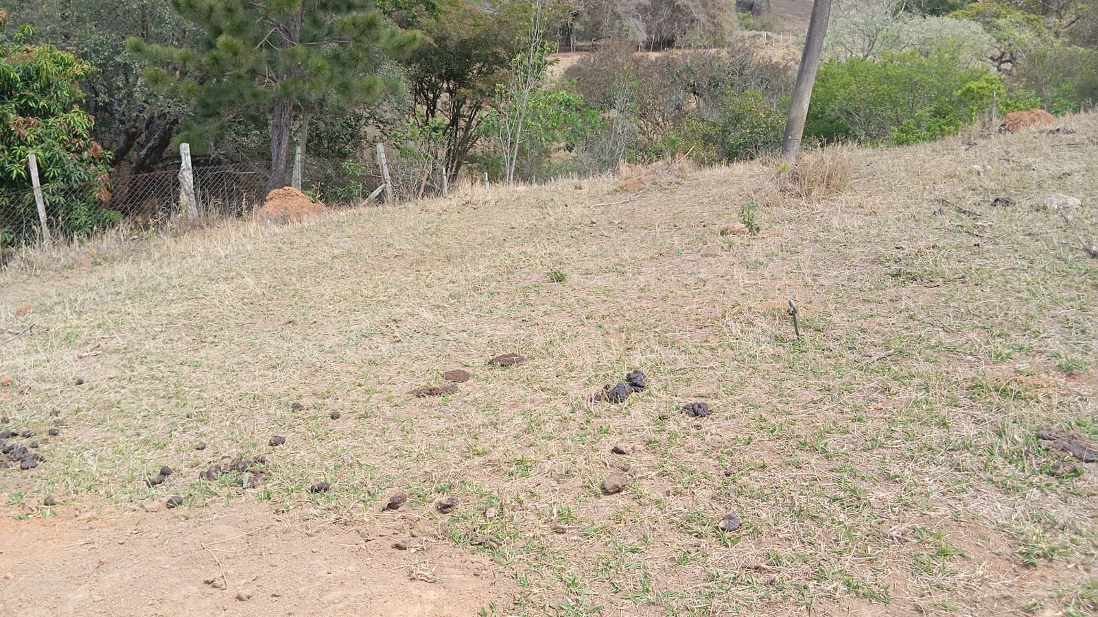 Terreno 2.000m² em Extrema-MG – Vista Montanhas e Água tratada da Copasa cod 1183