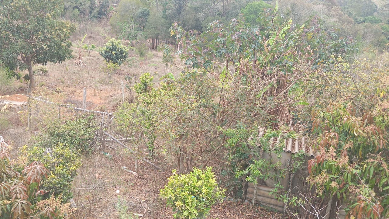 Chácara à venda , 2.750m², 4 quartos (1 suíte), área gourmet, pomar, lago para pesca e vista para montanha cod 1184