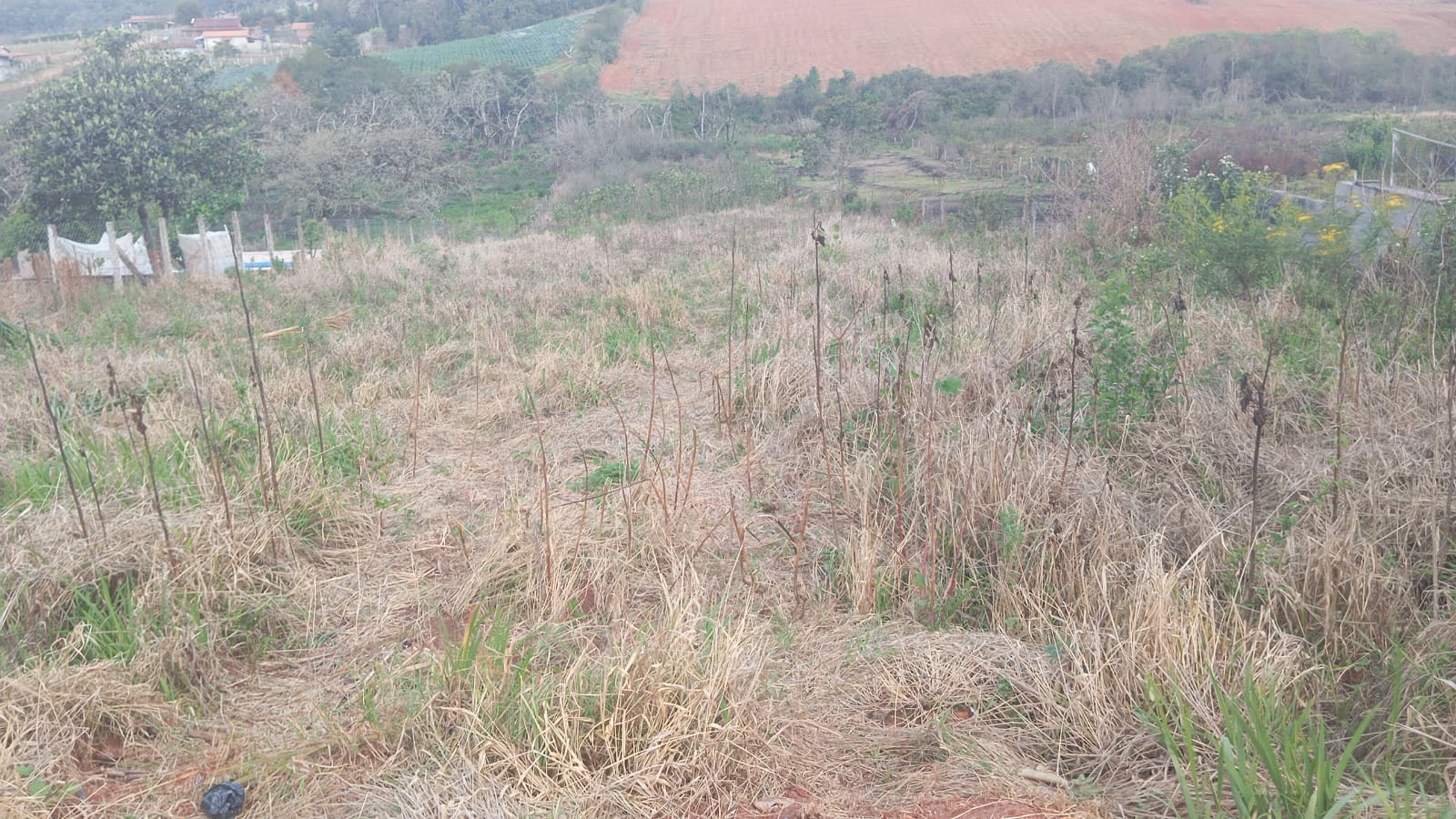 Oportunidade: Terreno 2.300m² em área tranquila e valorizada local Munhoz MG1188