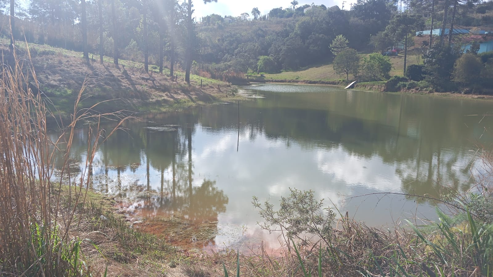 Oportunidade: Terreno 2.300m² em área tranquila e valorizada local Munhoz MG1188