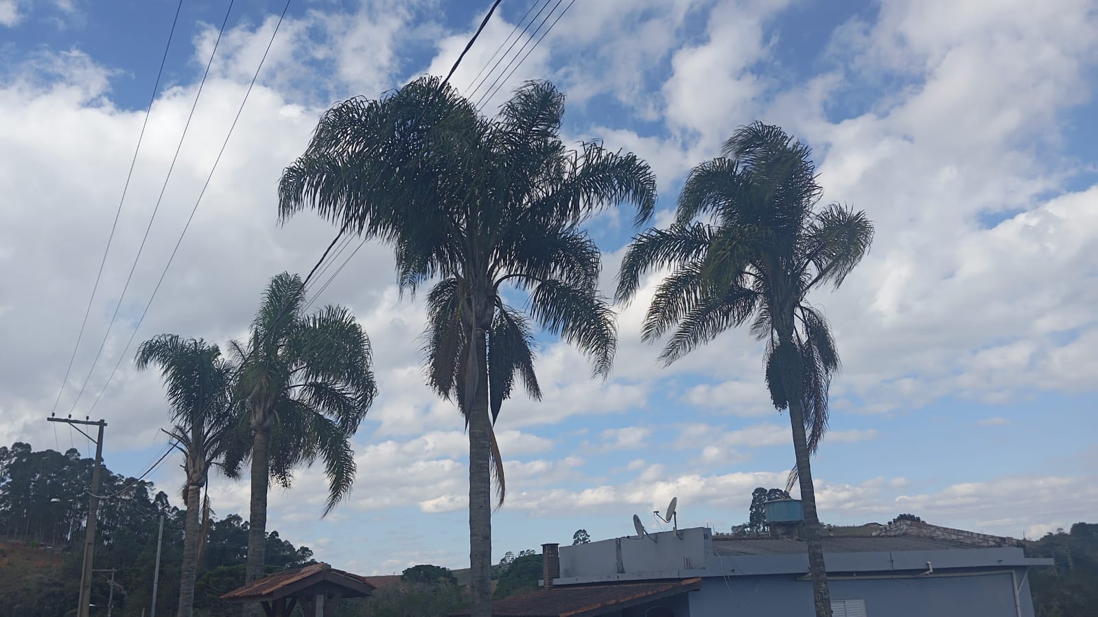 Oportunidade: Terreno 2.300m² em área tranquila e valorizada local Munhoz MG1188