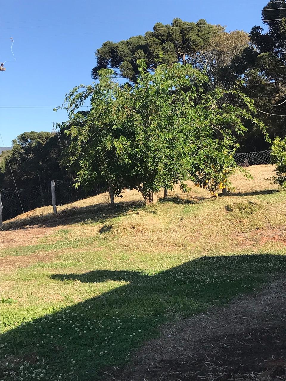 Chácara em Monte Verde - casa com 3 quartos, suíte e terreno amplo cod 1190