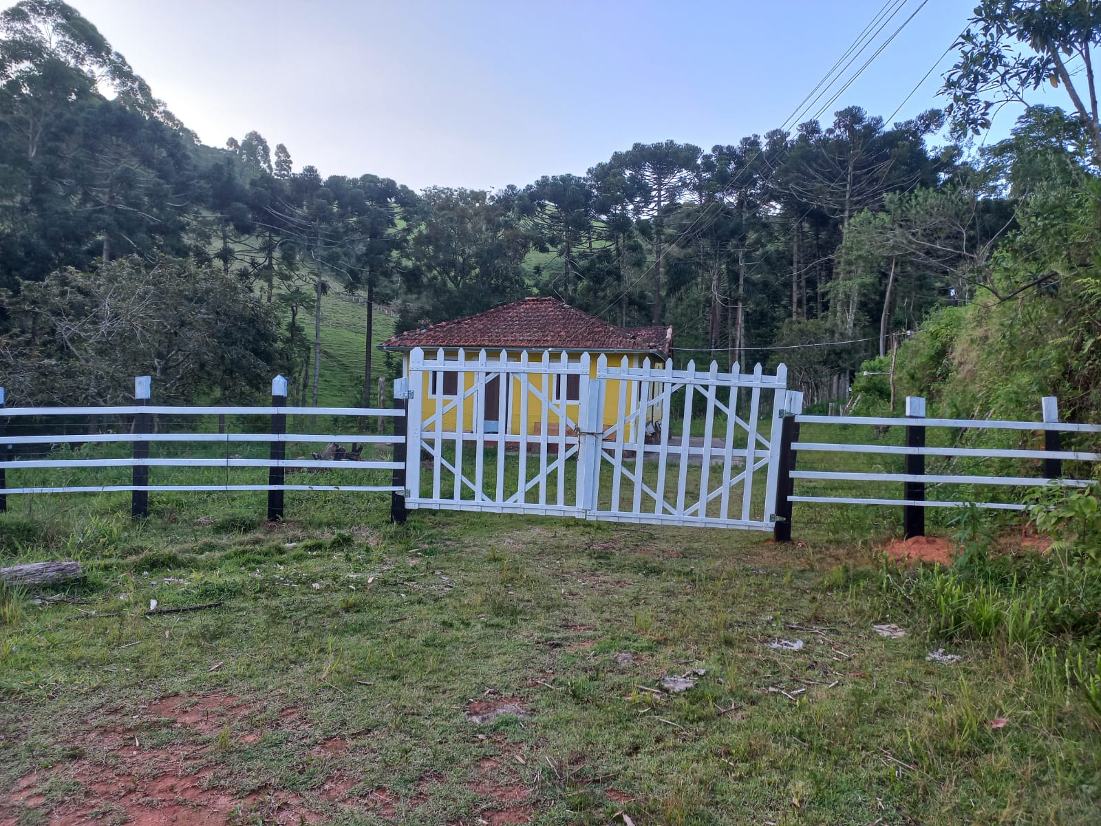 Chácara Charmosa com Lago e Casa de Fazenda em Meio às Araucárias – 4.000m cod 1194
