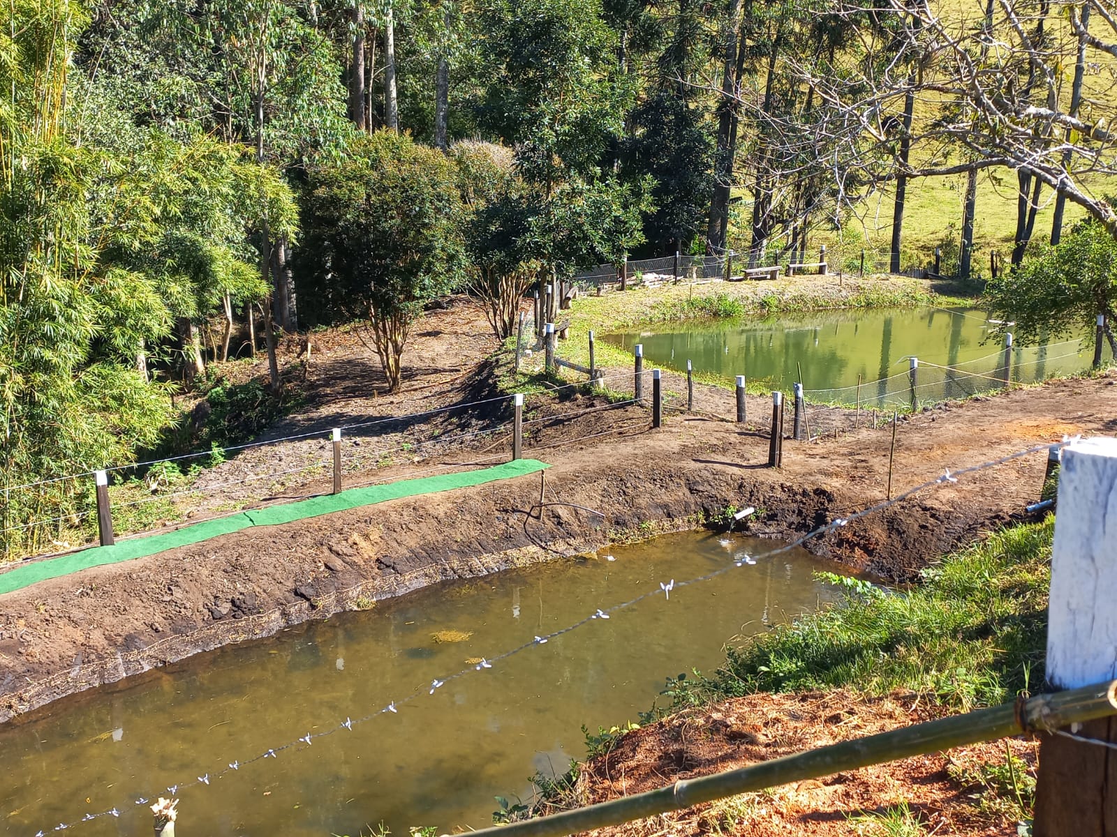 Chácara Charmosa com Lago e Casa de Fazenda em Meio às Araucárias – 4.000m cod 1194
