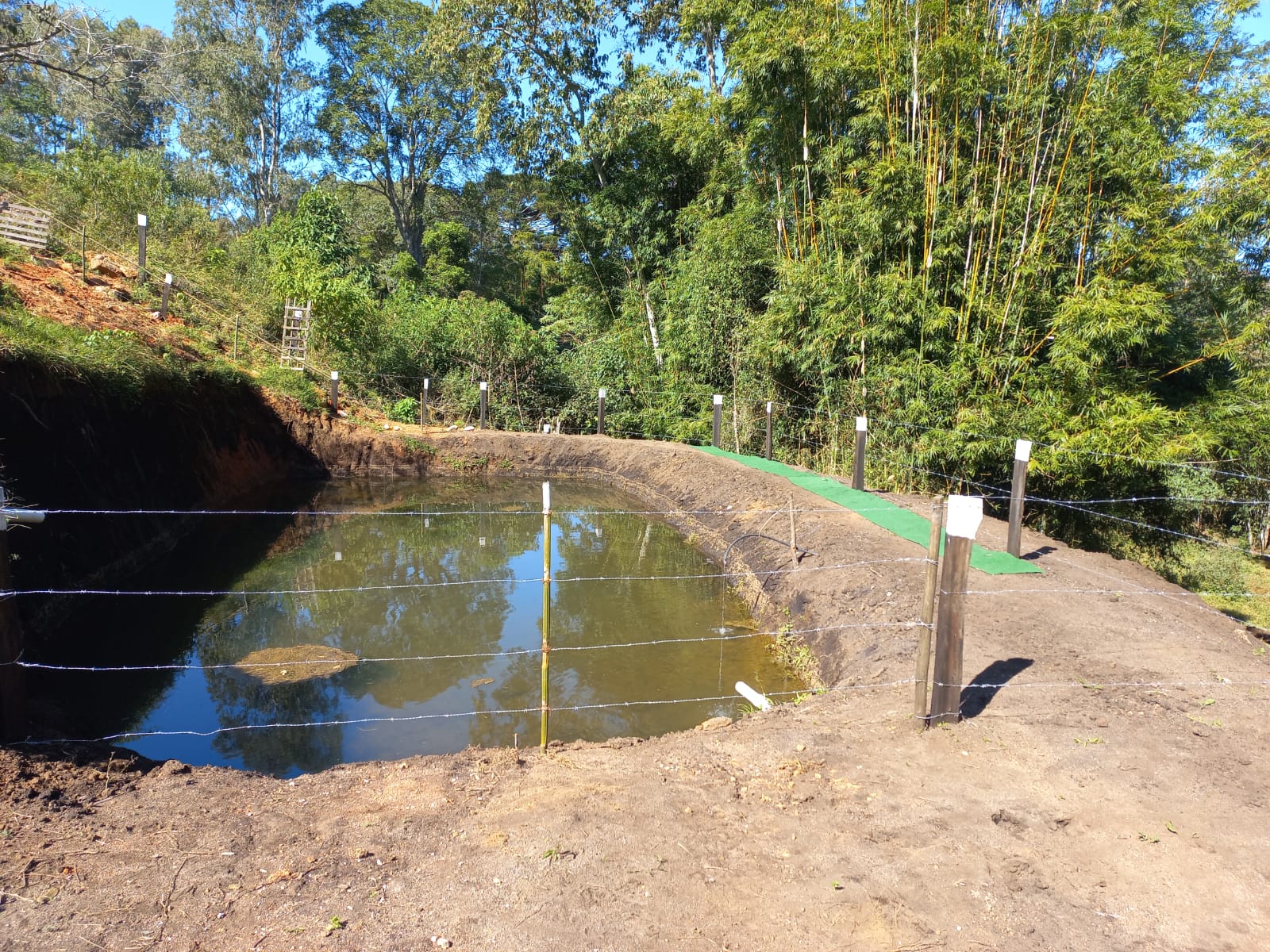 Chácara Charmosa com Lago e Casa de Fazenda em Meio às Araucárias – 4.000m cod 1194