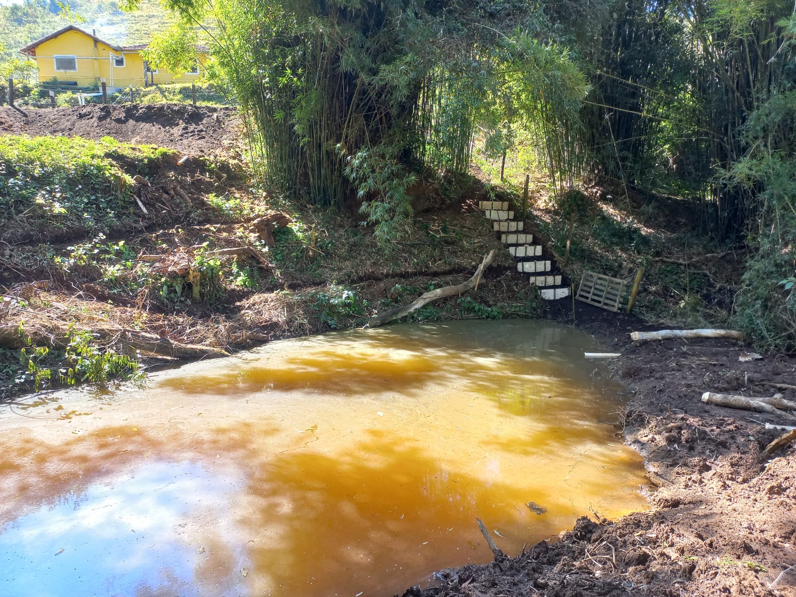 Chácara Charmosa com Lago e Casa de Fazenda em Meio às Araucárias – 4.000m cod 1194