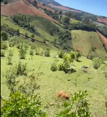 Sítio à Venda em Camanducaia-MG – 13 Alqueires com Nascente, Escritura e Fácil Acesso cod 1197