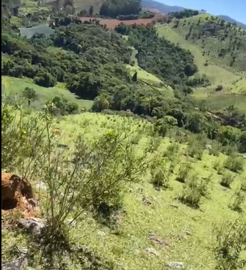 Sítio à Venda em Camanducaia-MG – 13 Alqueires com Nascente, Escritura e Fácil Acesso cod 1197