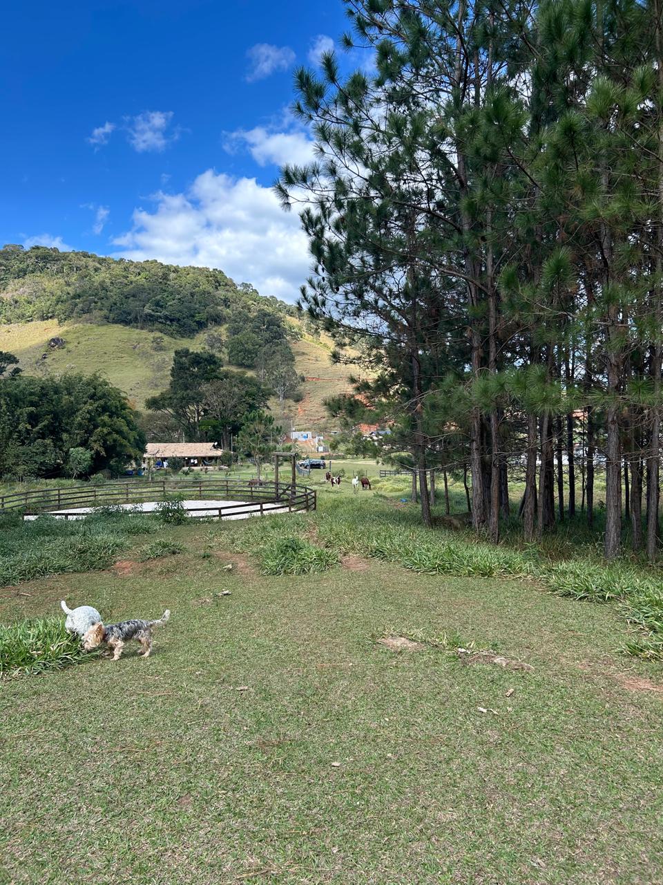 Sítio com Casa, Pomar e Estrutura Completa para Animais – Joanópolis-SP cod. 1200