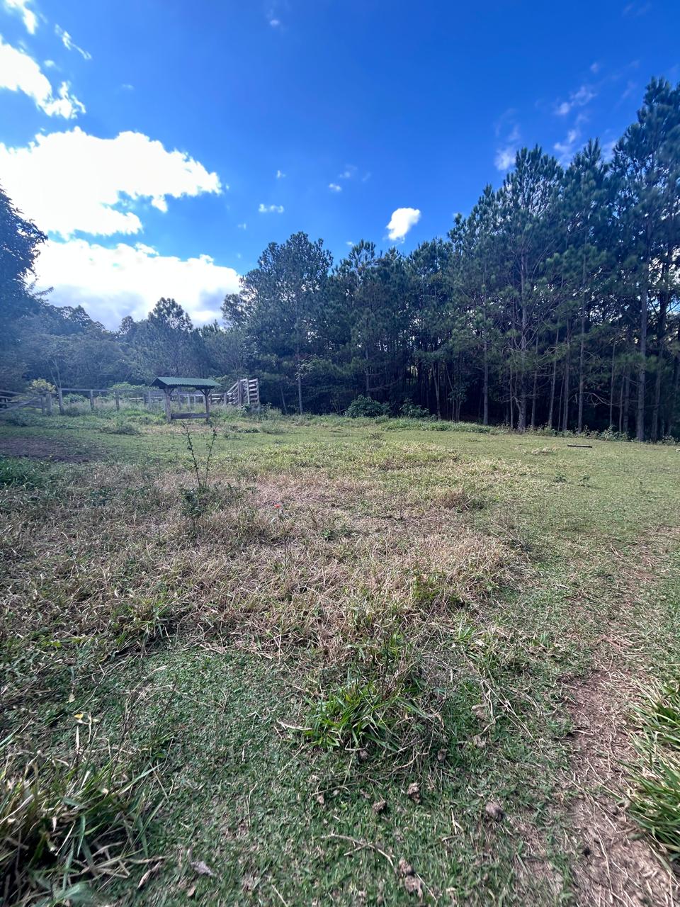 Sítio com Casa, Pomar e Estrutura Completa para Animais – Joanópolis-SP cod. 1200