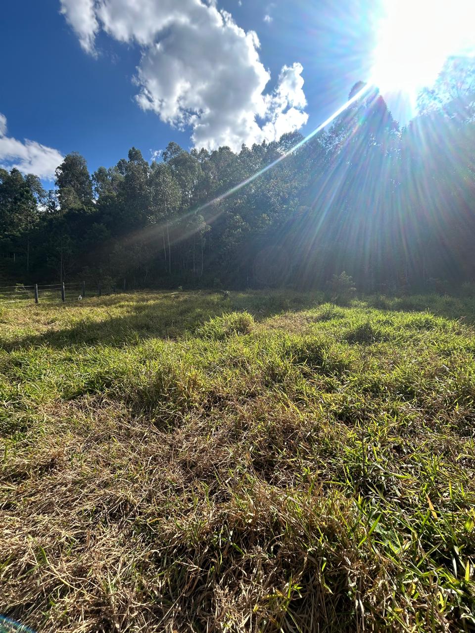 Sítio com Casa, Pomar e Estrutura Completa para Animais – Joanópolis-SP cod. 1200