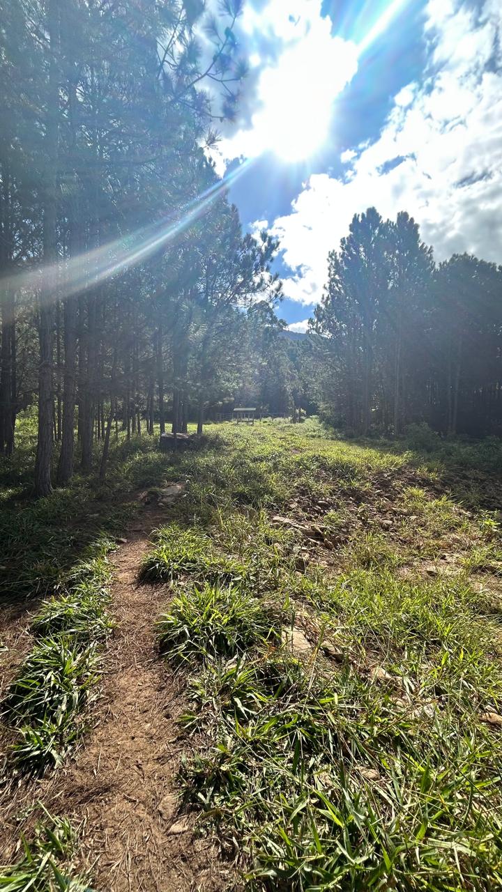 Sítio com Casa, Pomar e Estrutura Completa para Animais – Joanópolis-SP cod. 1200