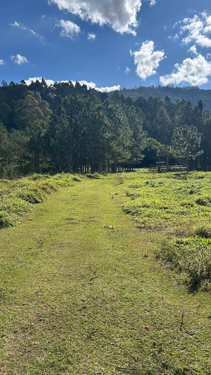 Sítio com Casa, Pomar e Estrutura Completa para Animais – Joanópolis-SP cod. 1200