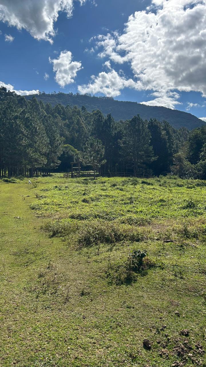 Sítio com Casa, Pomar e Estrutura Completa para Animais – Joanópolis-SP cod. 1200