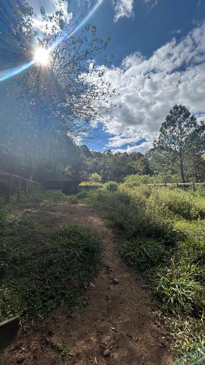 Sítio com Casa, Pomar e Estrutura Completa para Animais – Joanópolis-SP cod. 1200