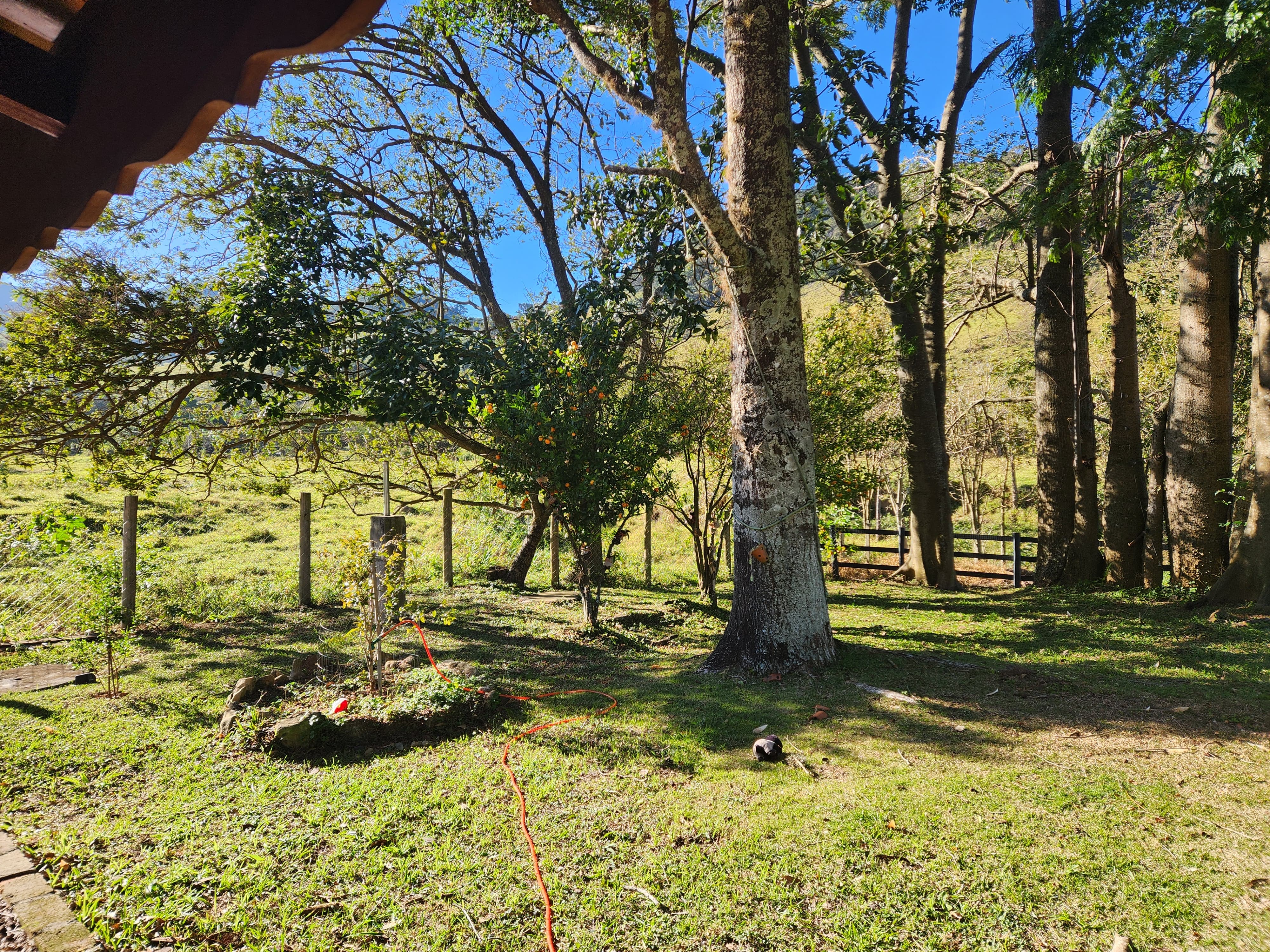 Sítio com Casa, Pomar e Estrutura Completa para Animais – Joanópolis-SP cod. 1200