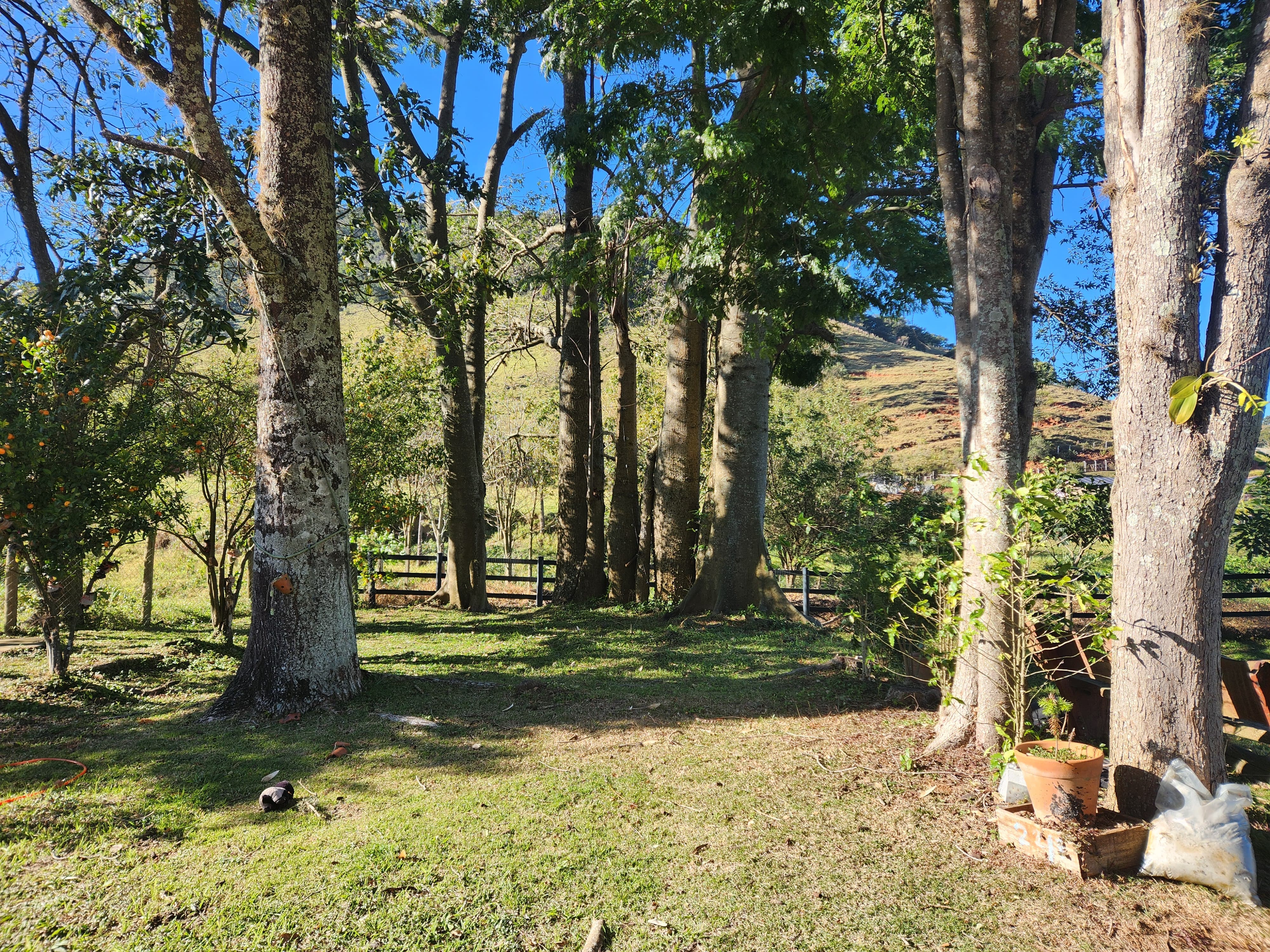 Sítio com Casa, Pomar e Estrutura Completa para Animais – Joanópolis-SP cod. 1200