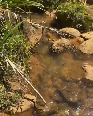 Sítio dos Sonhos em Joanópolis-SP – 13 Alqueires com Cachoeira, Clima de Montanha e Terra Fértil! cod.1202