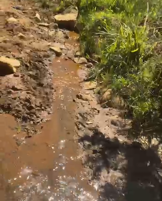 Sítio dos Sonhos em Joanópolis-SP – 13 Alqueires com Cachoeira, Clima de Montanha e Terra Fértil! cod.1202