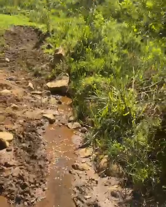 Sítio dos Sonhos em Joanópolis-SP – 13 Alqueires com Cachoeira, Clima de Montanha e Terra Fértil! cod.1202
