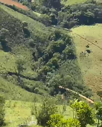 Sítio dos Sonhos em Joanópolis-SP – 13 Alqueires com Cachoeira, Clima de Montanha e Terra Fértil! cod.1202