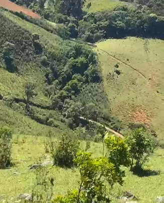 Sítio dos Sonhos em Joanópolis-SP – 13 Alqueires com Cachoeira, Clima de Montanha e Terra Fértil! cod.1202