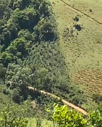 Sítio dos Sonhos em Joanópolis-SP – 13 Alqueires com Cachoeira, Clima de Montanha e Terra Fértil! cod.1202