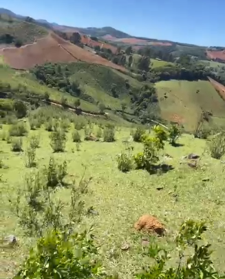 Sítio dos Sonhos em Joanópolis-SP – 13 Alqueires com Cachoeira, Clima de Montanha e Terra Fértil! cod.1202