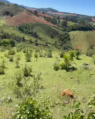 Sítio dos Sonhos em Joanópolis-SP – 13 Alqueires com Cachoeira, Clima de Montanha e Terra Fértil! cod.1202