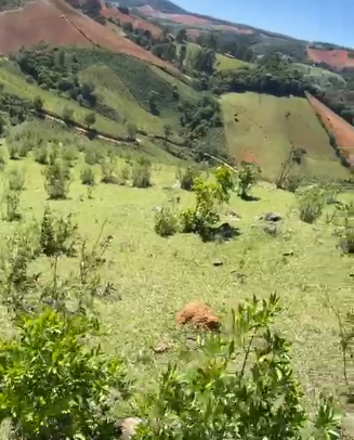 Sítio dos Sonhos em Joanópolis-SP – 13 Alqueires com Cachoeira, Clima de Montanha e Terra Fértil! cod.1202