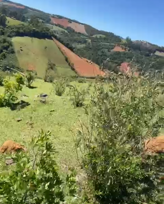 Sítio dos Sonhos em Joanópolis-SP – 13 Alqueires com Cachoeira, Clima de Montanha e Terra Fértil! cod.1202
