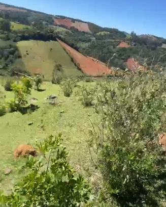 Sítio dos Sonhos em Joanópolis-SP – 13 Alqueires com Cachoeira, Clima de Montanha e Terra Fértil! cod.1202