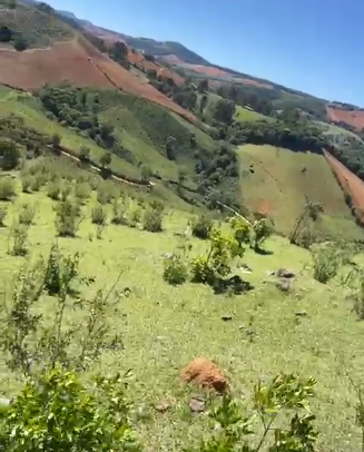 Sítio dos Sonhos em Joanópolis-SP – 13 Alqueires com Cachoeira, Clima de Montanha e Terra Fértil! cod.1202