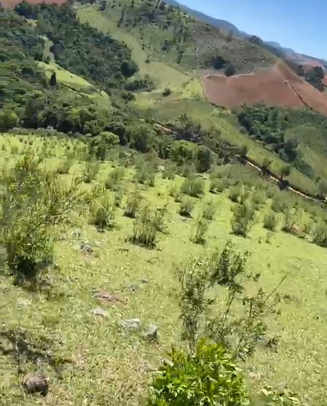 Sítio dos Sonhos em Joanópolis-SP – 13 Alqueires com Cachoeira, Clima de Montanha e Terra Fértil! cod.1202