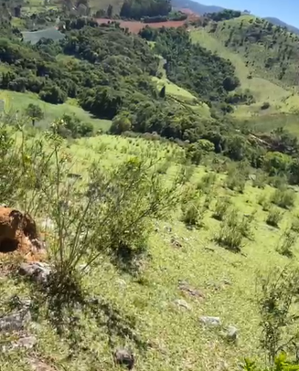 Sítio dos Sonhos em Joanópolis-SP – 13 Alqueires com Cachoeira, Clima de Montanha e Terra Fértil! cod.1202