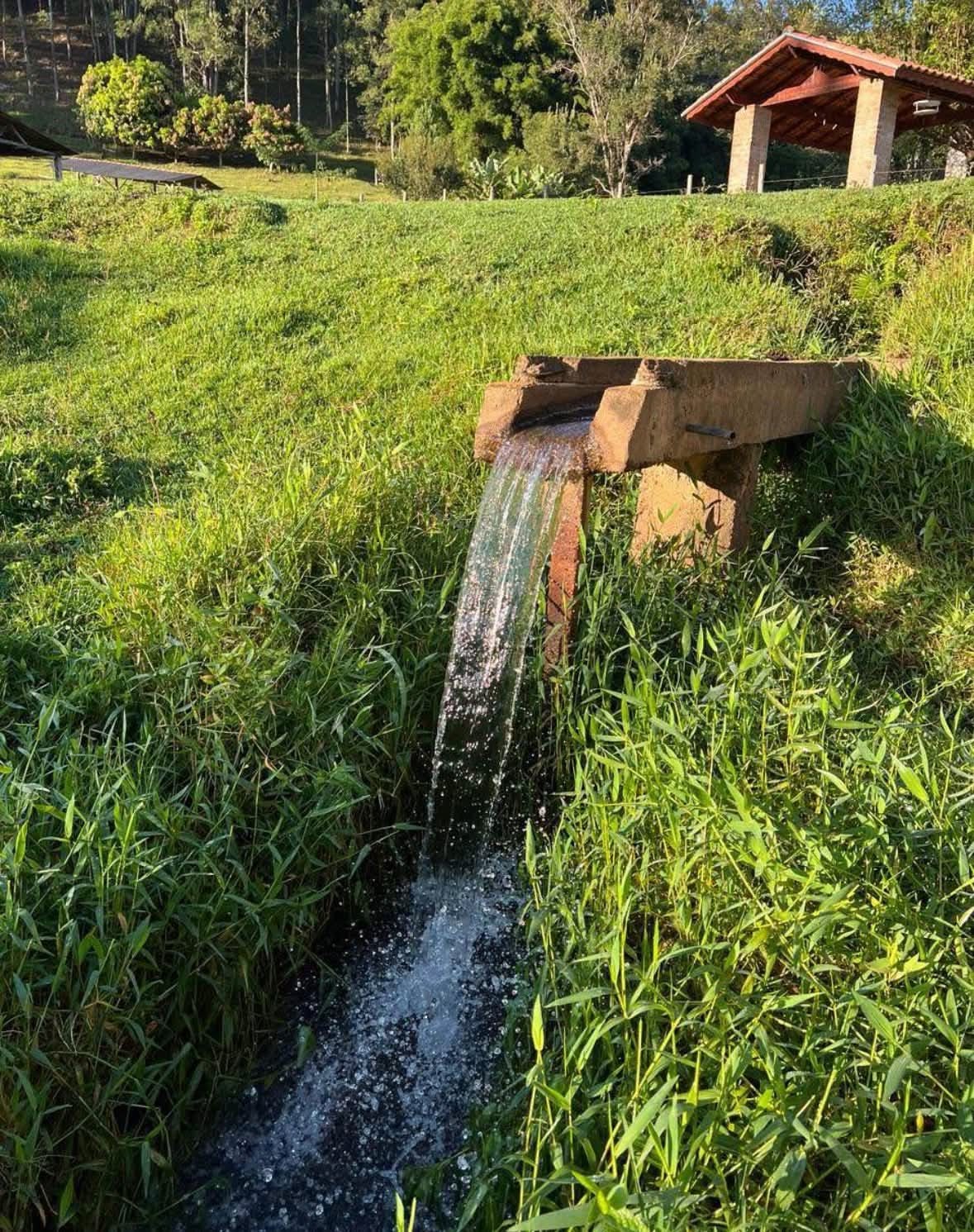 Sítio à Venda em Camanducaia, Divisa com Extrema – 13 Alqueires com Lago e Nascentes cod.1206