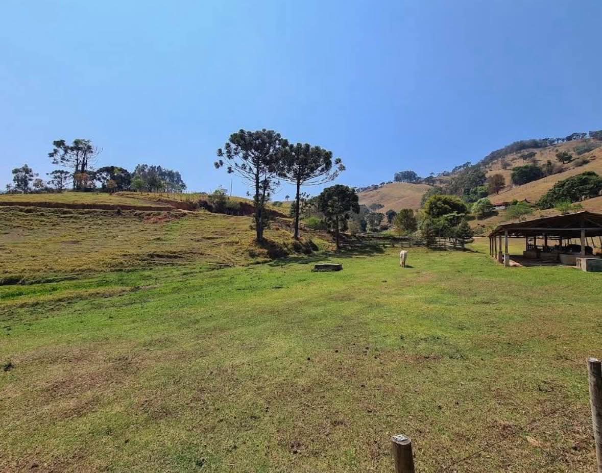 Sítio à Venda em Camanducaia, Divisa com Extrema – 13 Alqueires com Lago e Nascentes cod.1206