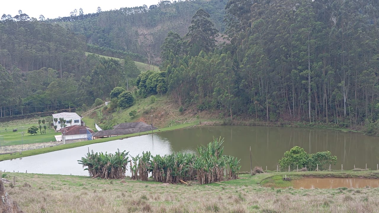 Fazenda de Alto Padrão à Venda – Alta Produtividade e Retorno Garantido em Joanópolis cod. 1207