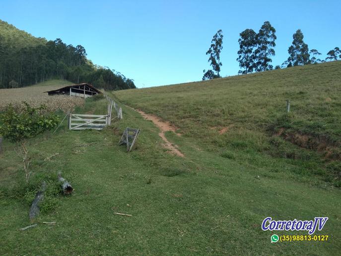Fazenda de Alto Padrão à Venda – Alta Produtividade e Retorno Garantido em Joanópolis cod. 1207