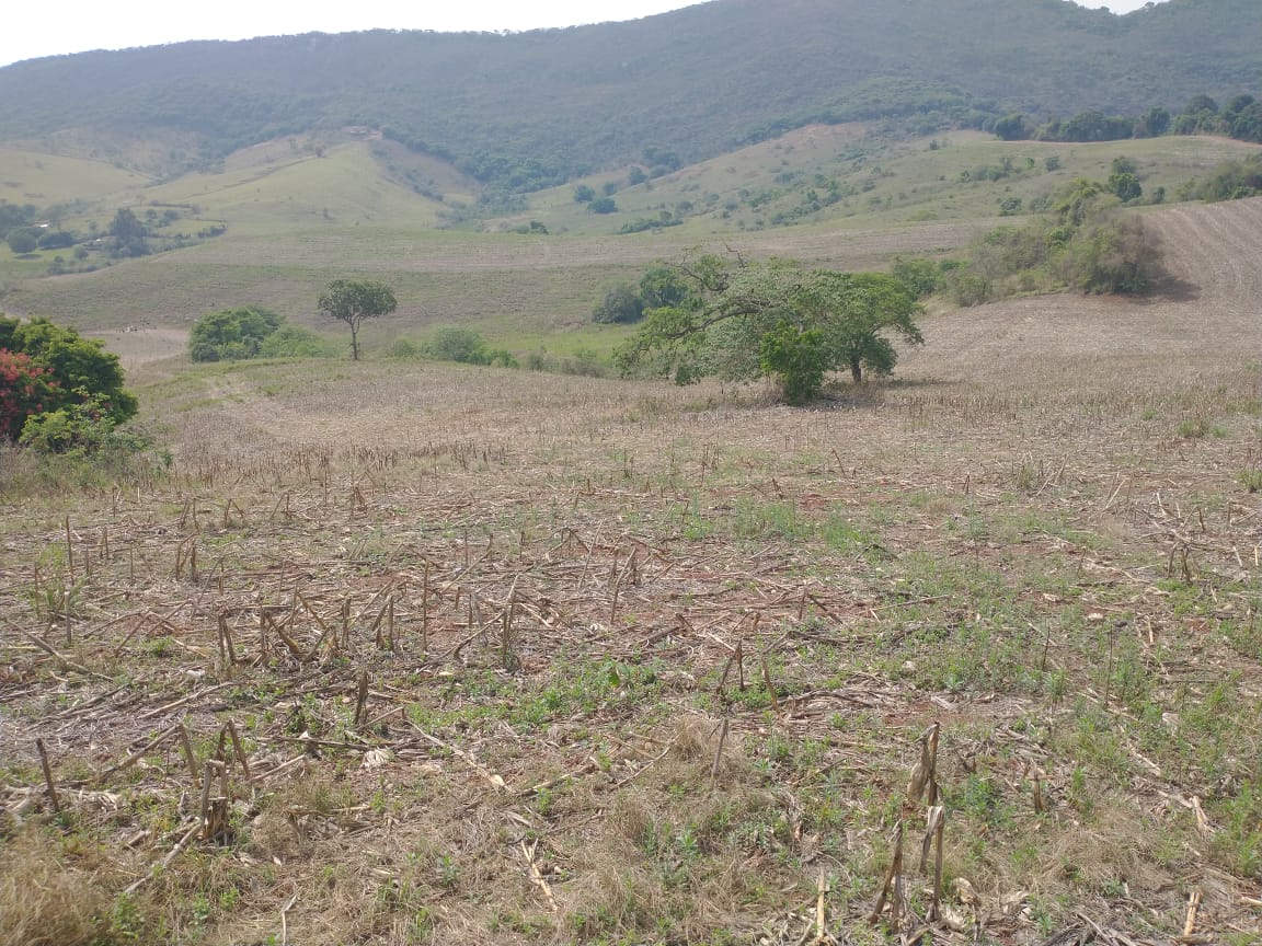 Fazenda de 96,17 hectares com terra de altíssima qualidade - Sul de Minas cod. 1212