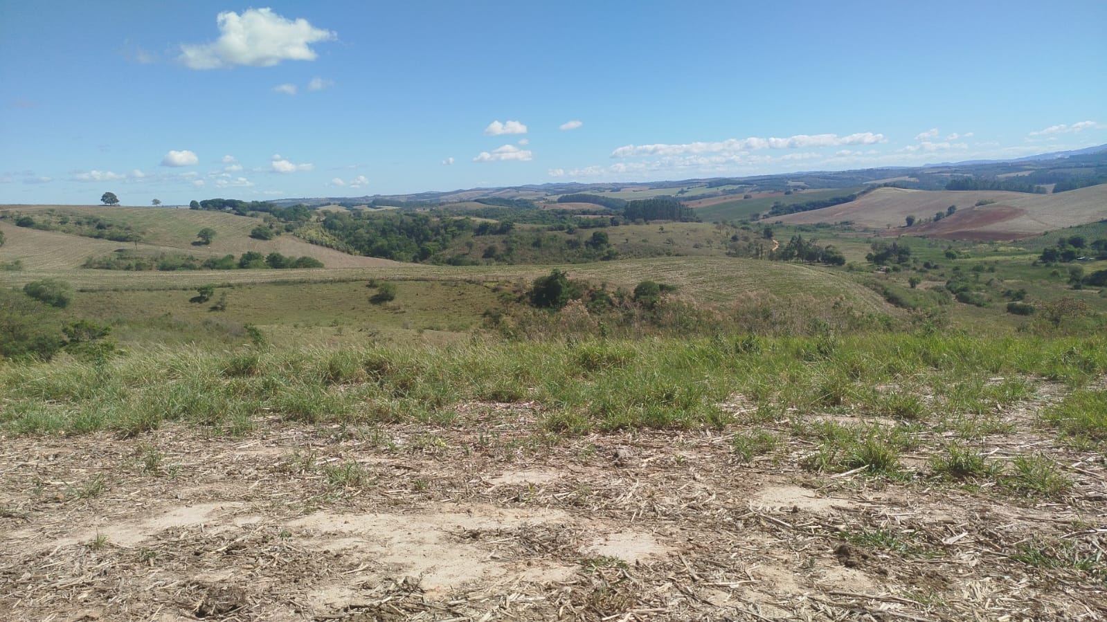 Fazenda de 96,17 hectares com terra de altíssima qualidade - Sul de Minas cod. 1212