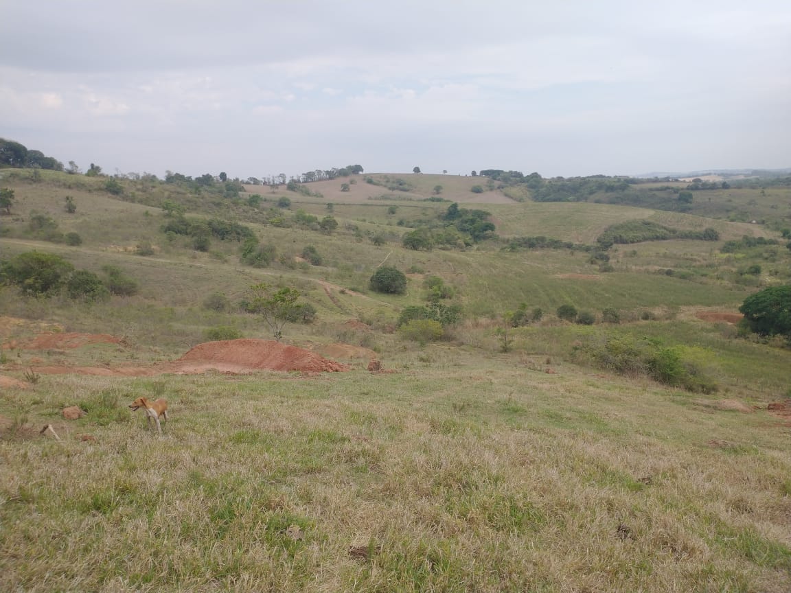Fazenda de 96,17 hectares com terra de altíssima qualidade - Sul de Minas cod. 1212