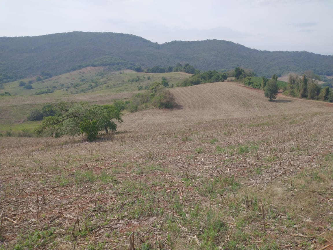 Fazenda de 96,17 hectares com terra de altíssima qualidade - Sul de Minas cod. 1212