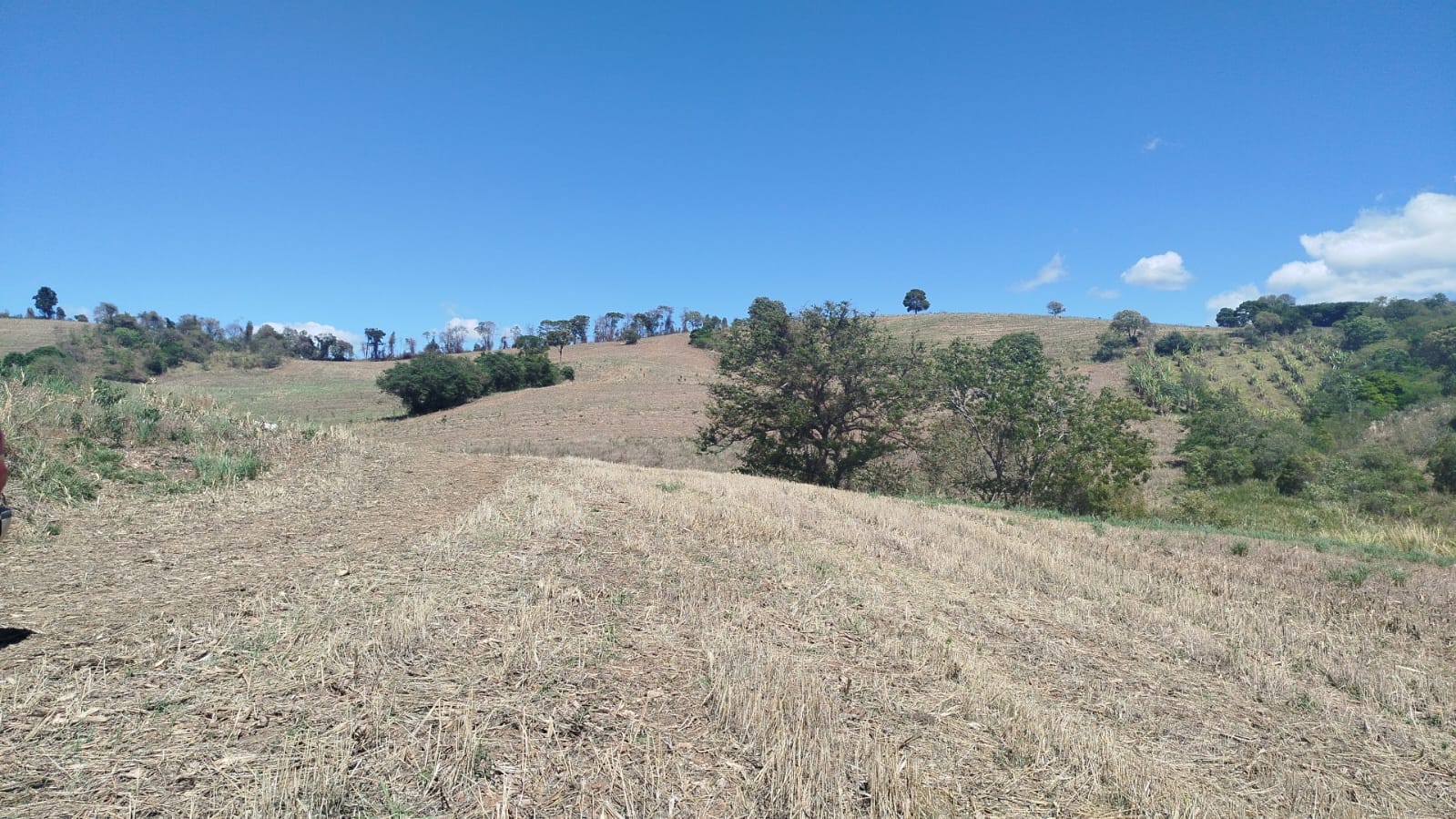 Fazenda de 96,17 hectares com terra de altíssima qualidade - Sul de Minas cod. 1212