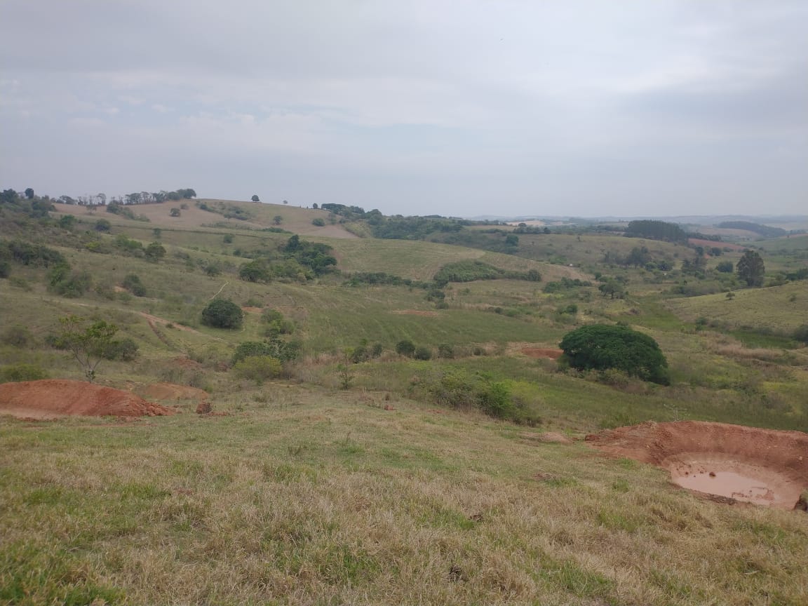Fazenda de 96,17 hectares com terra de altíssima qualidade - Sul de Minas cod. 1212