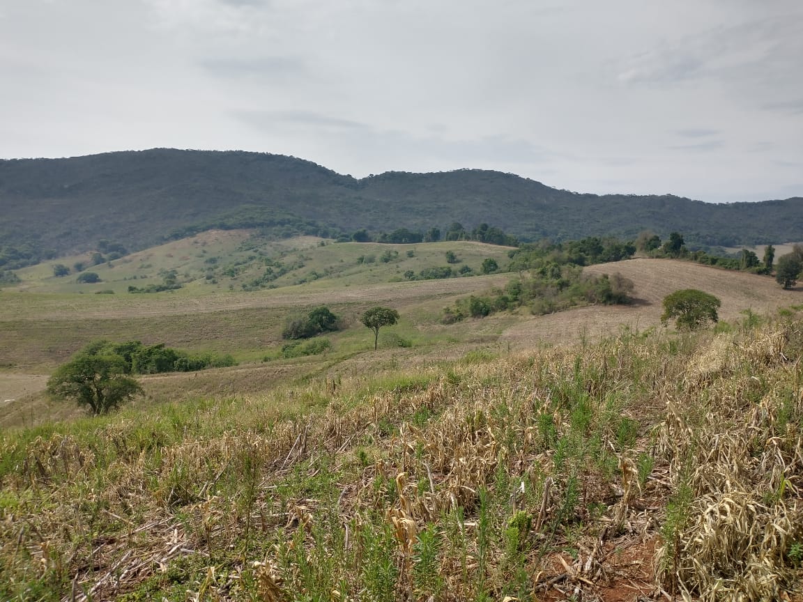 Fazenda de 96,17 hectares com terra de altíssima qualidade - Sul de Minas cod. 1212