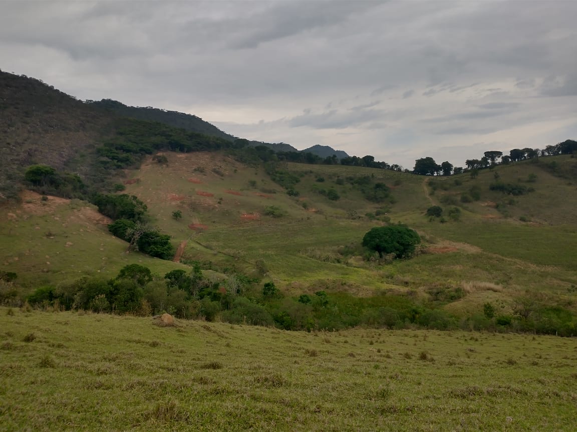 Fazenda de 96,17 hectares com terra de altíssima qualidade - Sul de Minas cod. 1212