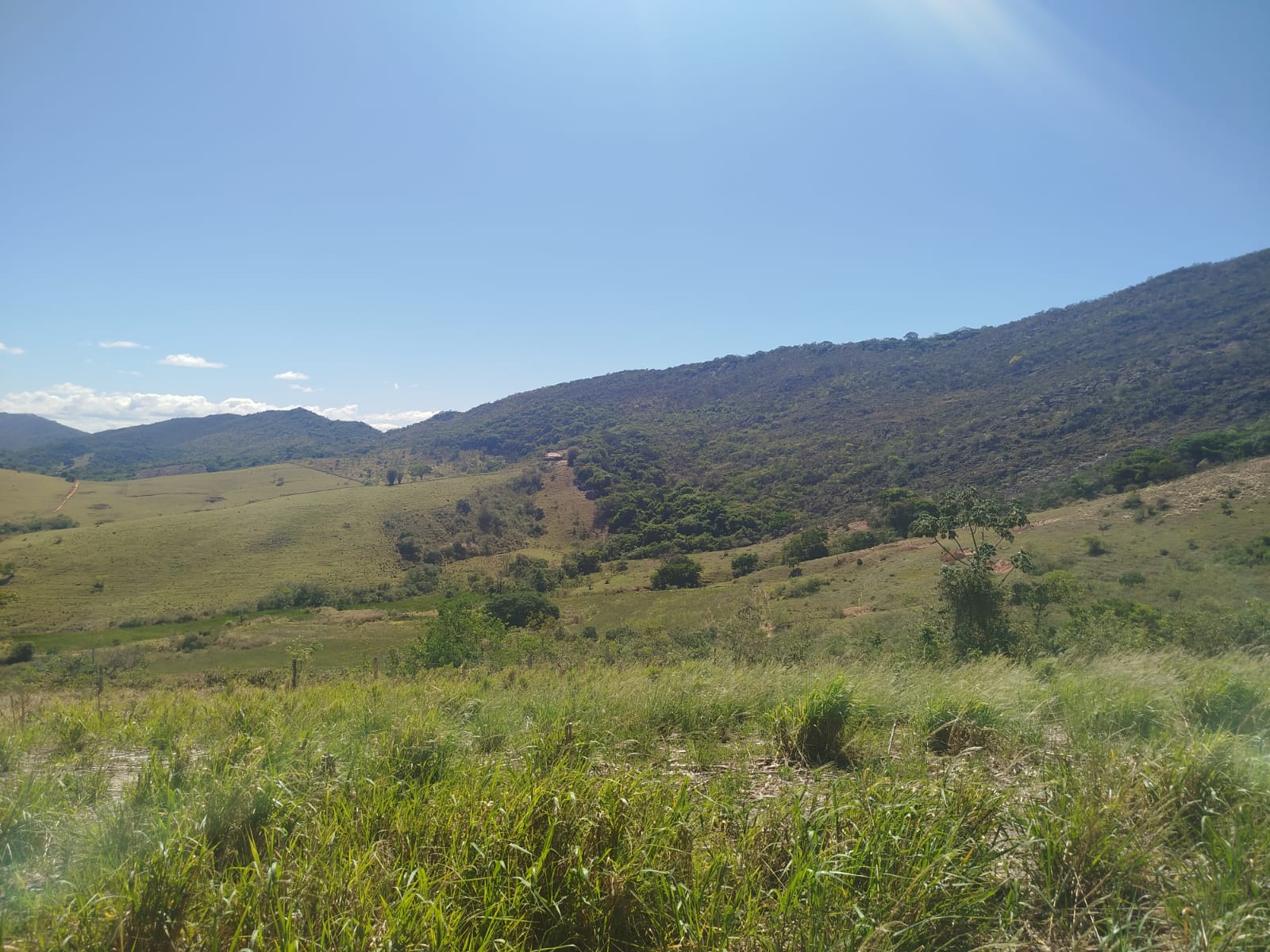 Fazenda de 96,17 hectares com terra de altíssima qualidade - Sul de Minas cod. 1212