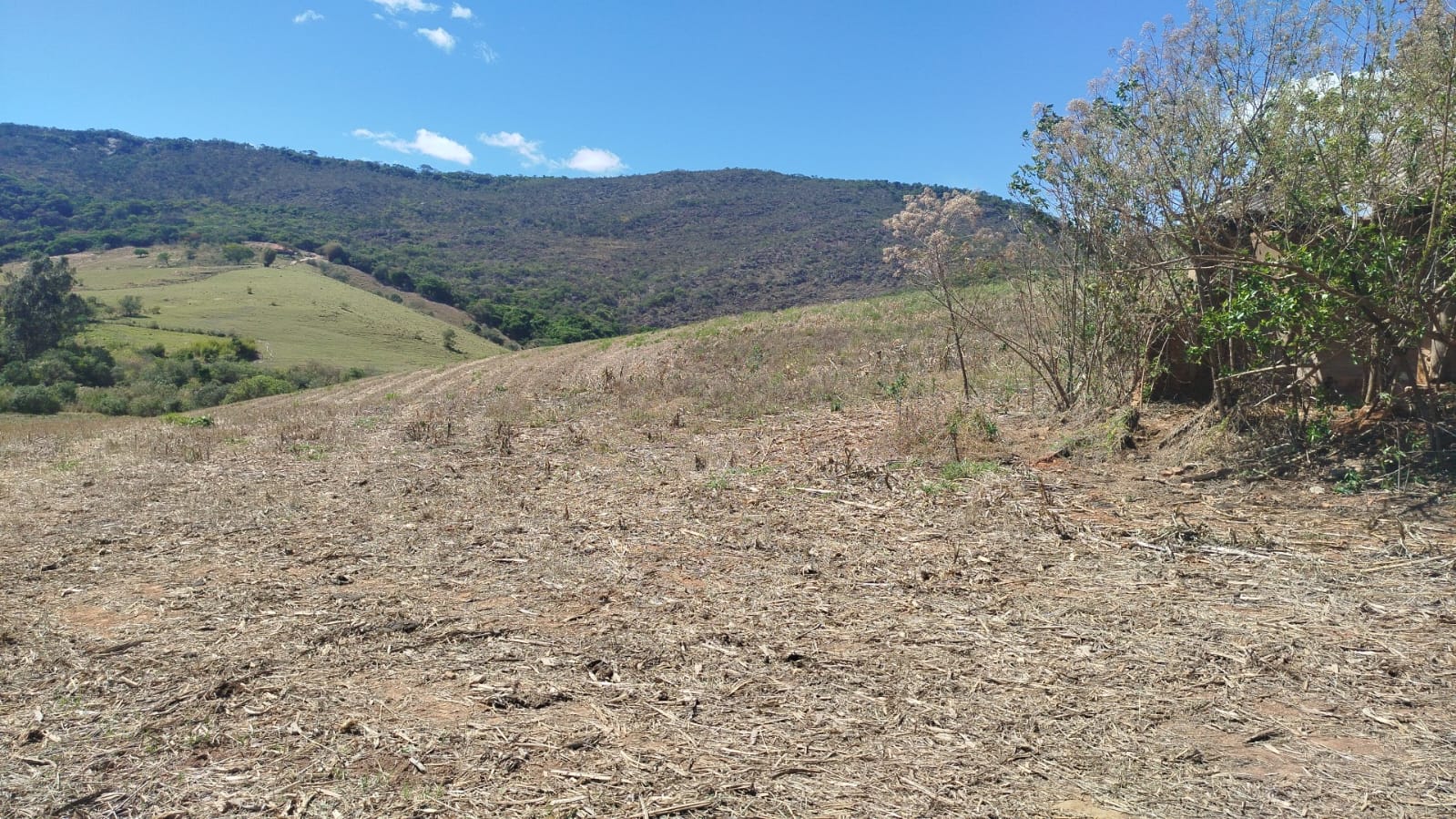 Fazenda de 96,17 hectares com terra de altíssima qualidade - Sul de Minas cod. 1212