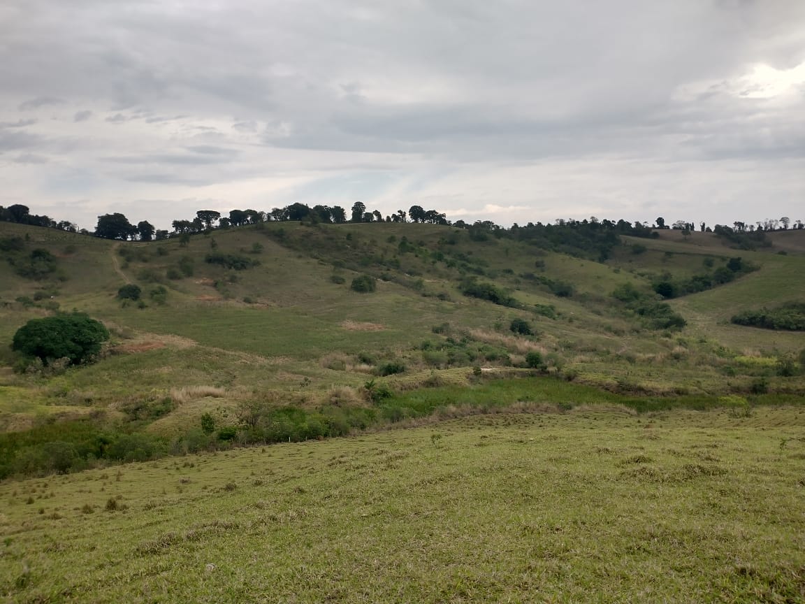 Fazenda de 96,17 hectares com terra de altíssima qualidade - Sul de Minas cod. 1212